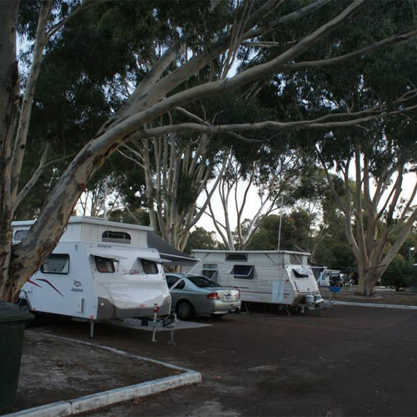 Collie park store