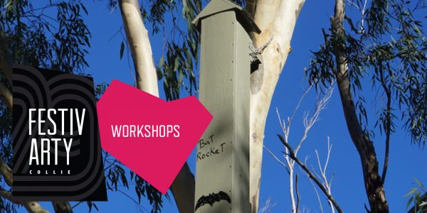 FESTIV ARTY Visual Arts Exhibition @ Collie Art Gallery & Energy West Hall