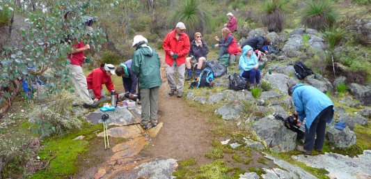 Bibbulmun Track - Collie to Balingup Guided Walk @ Collie - Balingup Bibbulmun Track