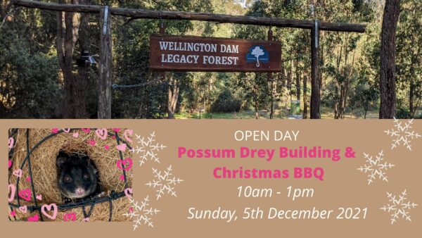Open Day - Possum Drey Building and Christmas BBQ @ Wellington Dam Legacy Forest