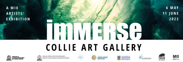 Immerse @ Collie Art Gallery