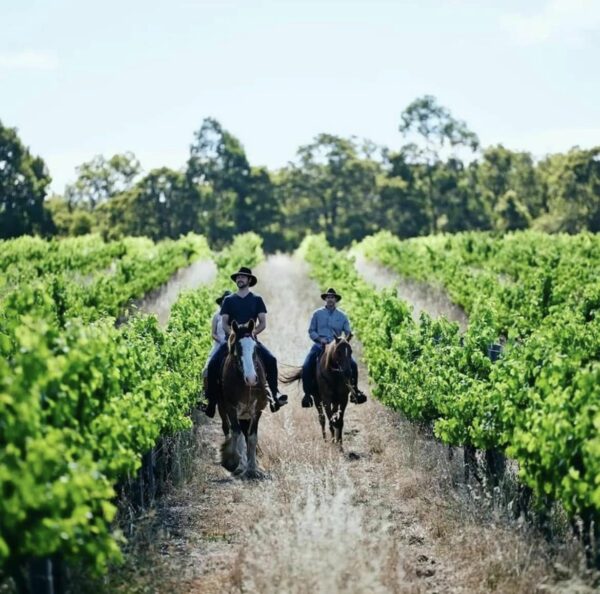 Horseback Wine Tasting (Session 2) @ Harris River Estate