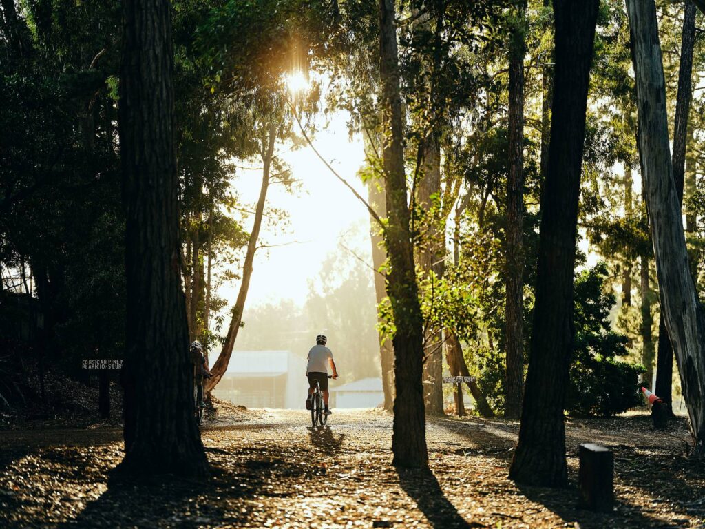 Soldiers-Park-Arboretum_Ord_2020-52