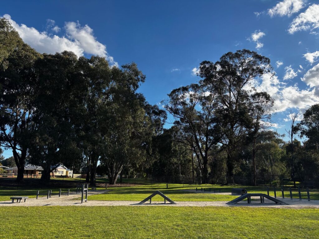 Dog-Agility-Park_course_CC_2025_06