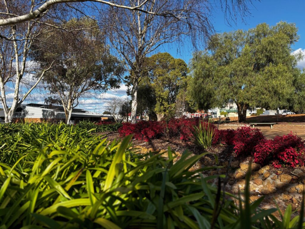 Finlay-Gardens_Park_CC_2025_02