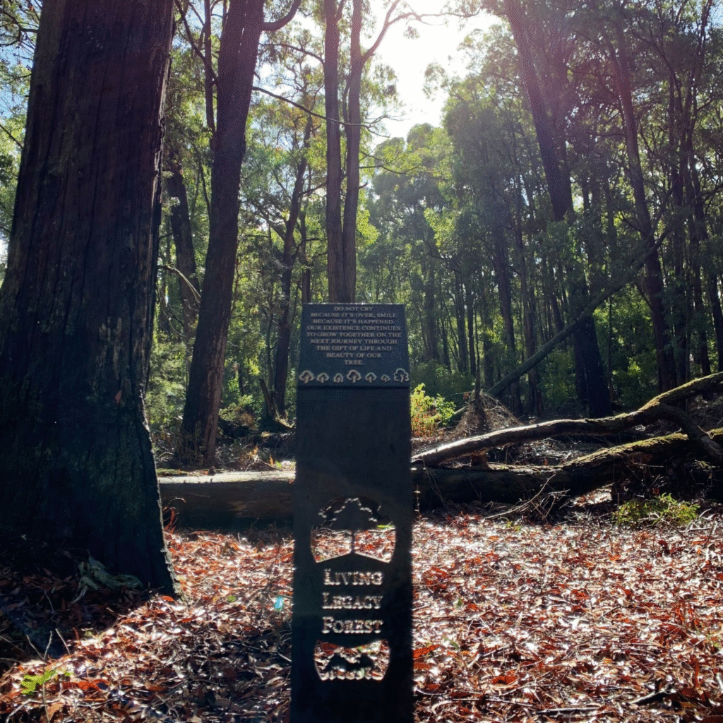Living-Legacy-Forest_plaque_FB_2023_02