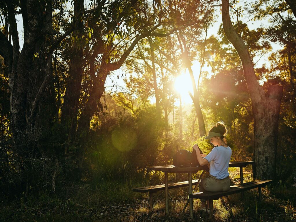Big-Rock_Wellington-Dam-Area_Ord_2020-046