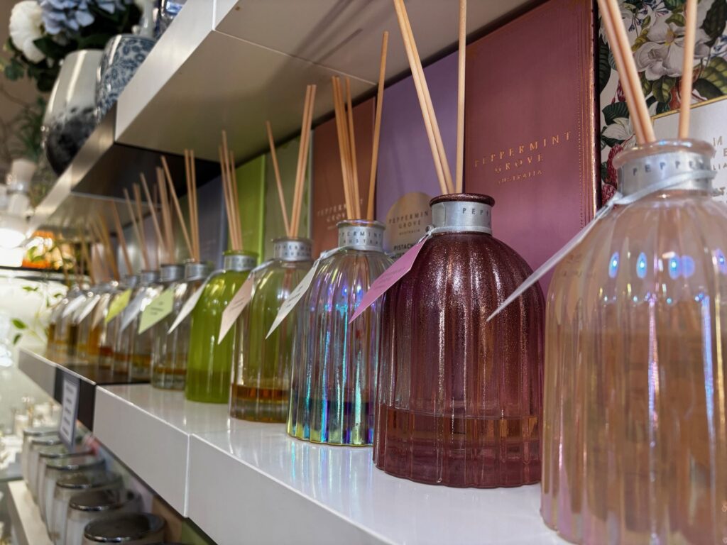 Cheeky-Squirrel_Stock_Shopping_CC_2025-01