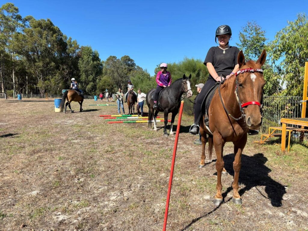 Collie-Horsepower_Horses_FB_2022_02