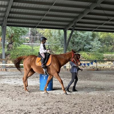 Collie-Horsepower_Riding-Horse_FB_2022_04