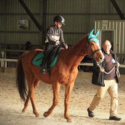 Collie-Horsepower_Riding-Horse_FB_2022_05