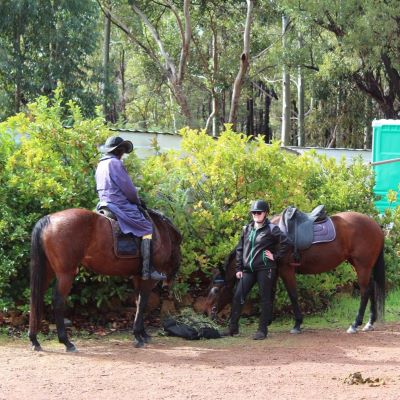 Collie-Horsepower_Two-Horses_FB_2022_06
