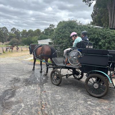 Collie-Horsepower_Wheelchair-Carriage_FB_2022_03