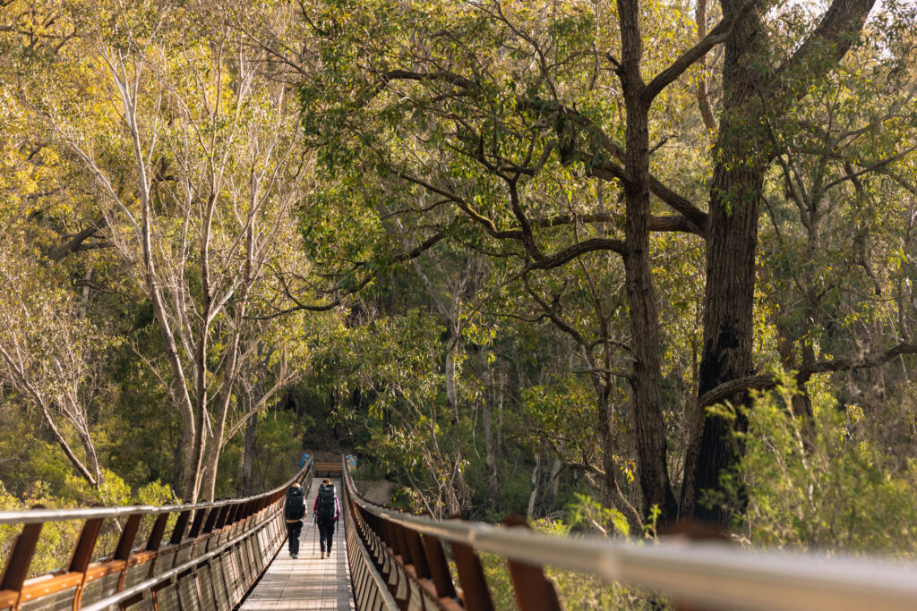 Kaniyang-Wiilman-Suspenion-Bridge_Hiking_Jarrad-Seng_2023-66