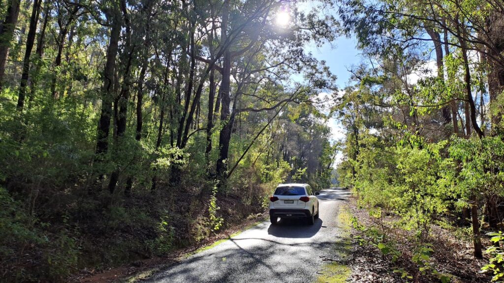 Lennard-Drive_Wellington-NP_MSR_2025-140355