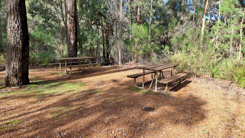 Rapids_Wellington-NP_MSR_2025-140949