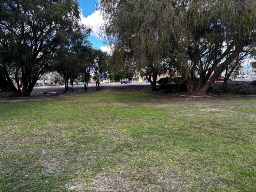 Baarnimarr-Reconciliation-Park_grass-area_CC_2025_04