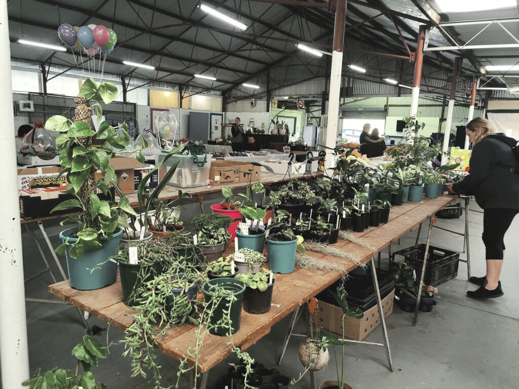 Collie-Country-Markets-plants