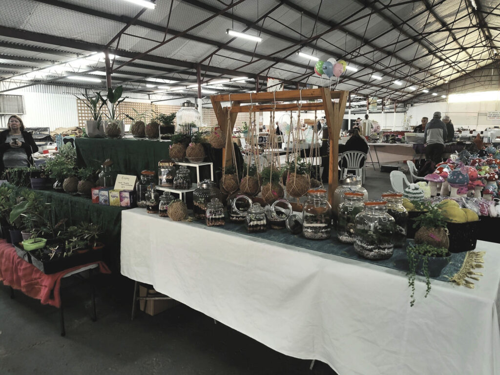 Collie-Country-Markets_jar-plants