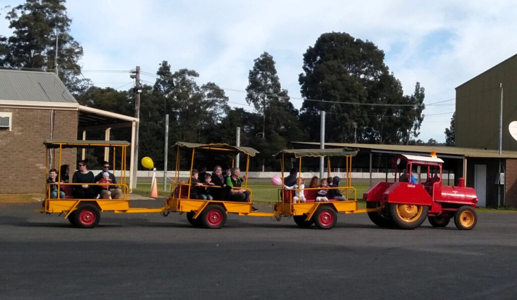 Collie-Country-Markets_train