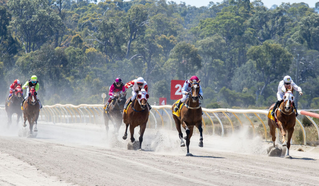 Collie-Cup-Day_Horse-Racing_2024_028