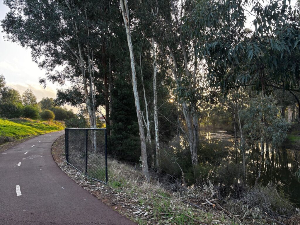 Collie-River-Walk-path-and-river-CC_2025-1