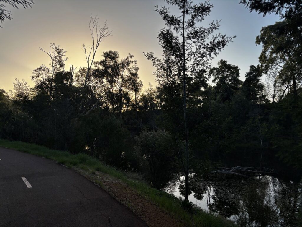 Collie-River-Walk-path-and-river-CC_2025-7