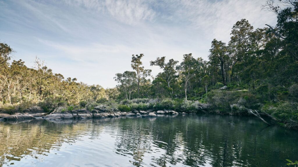 Collie-River_Ord_2024-294