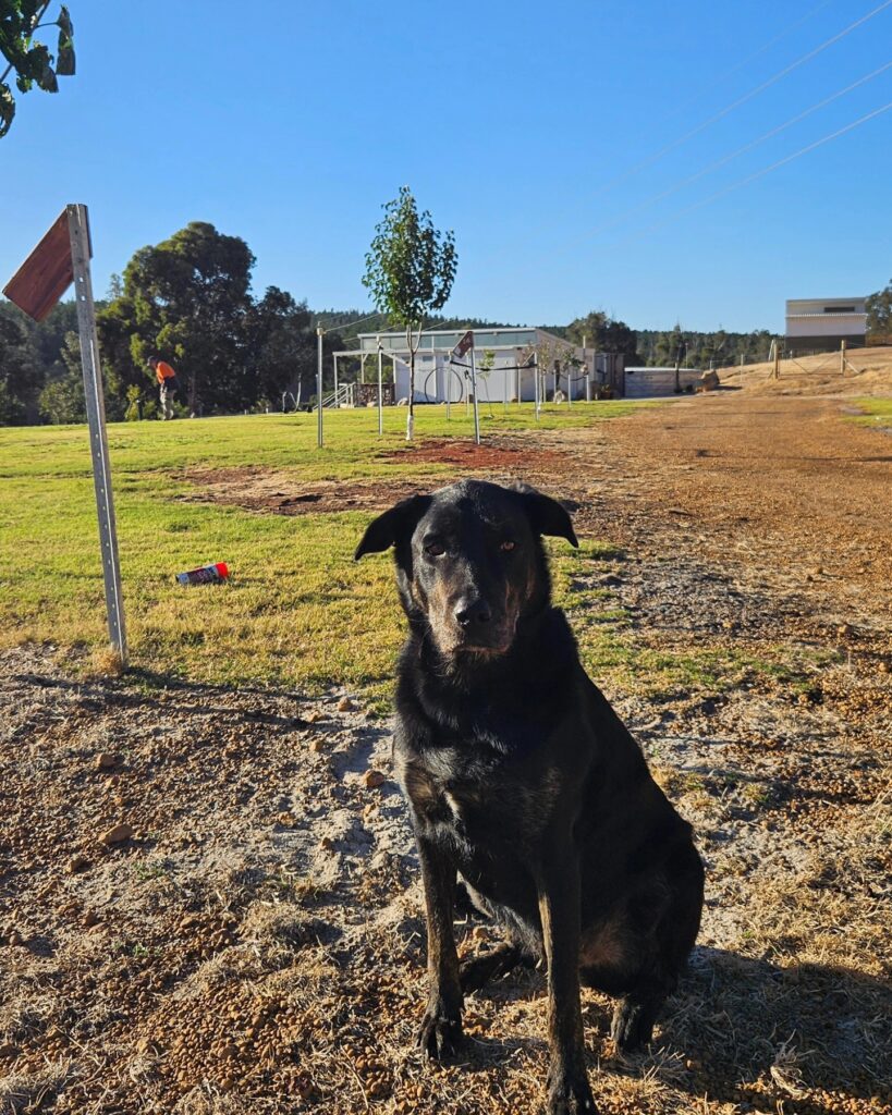 Collie-Trails-Retreat_FB-2