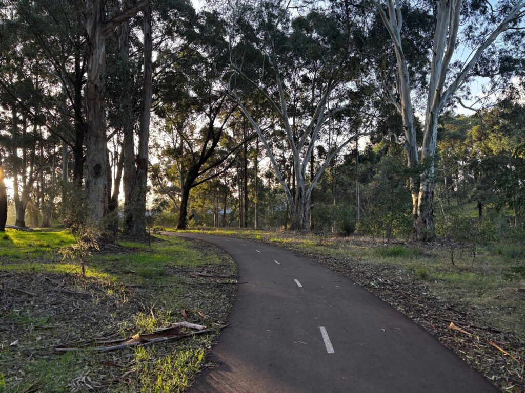Collie-river-walk-path-and-trees-CC_2025-5