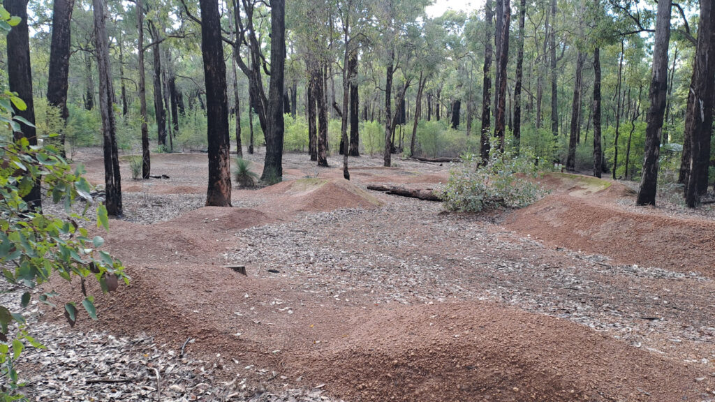 Currawong-Pump-Track_MTB_MSR_2025-1