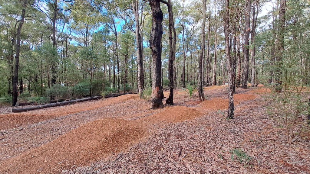 Currawong-Pump-Track_MTB_MSR_2025-2
