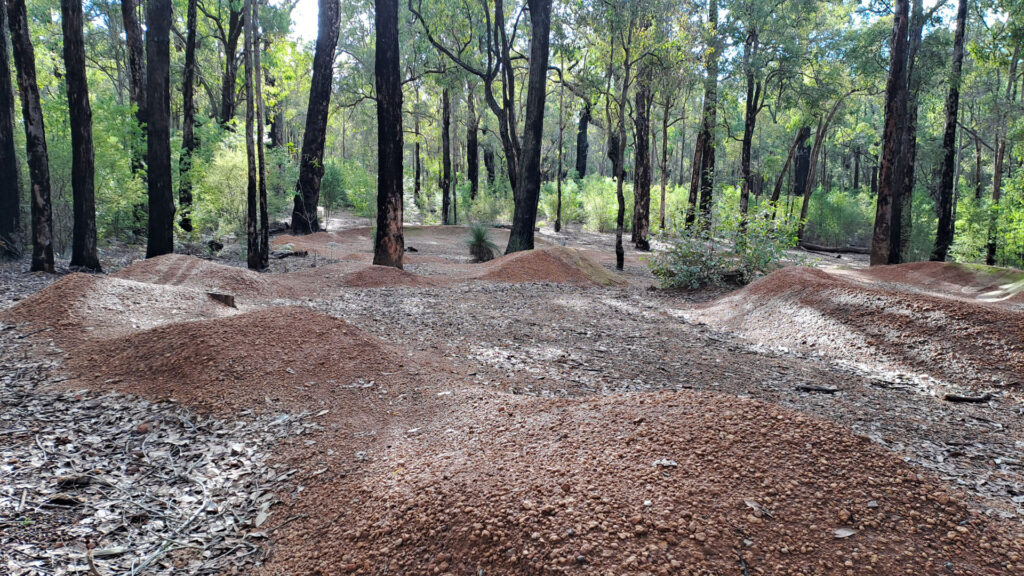 Currawong-Pump-Track_MTB_MSR_2025-5