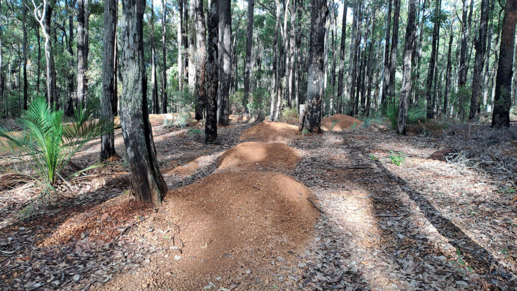 Currawong-Pump-Track_MTB_MSR_2025-6