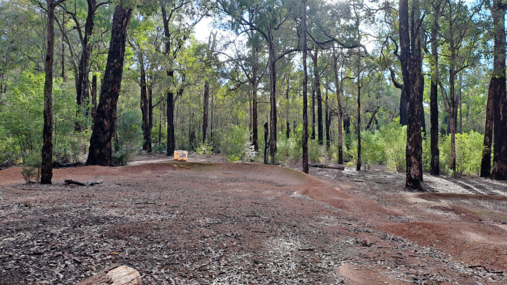 Currawong-Pump-Track_MTB_MSR_2025-7