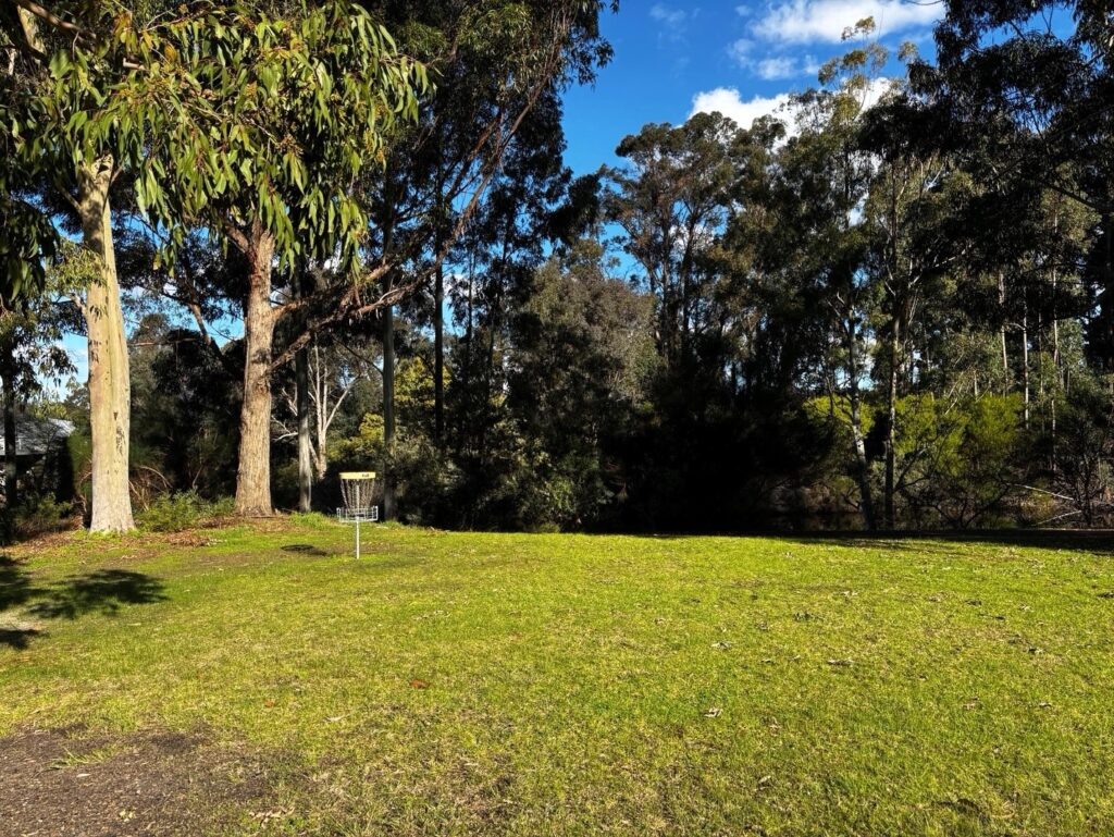 Disc-Golf_course_CC_2025_03
