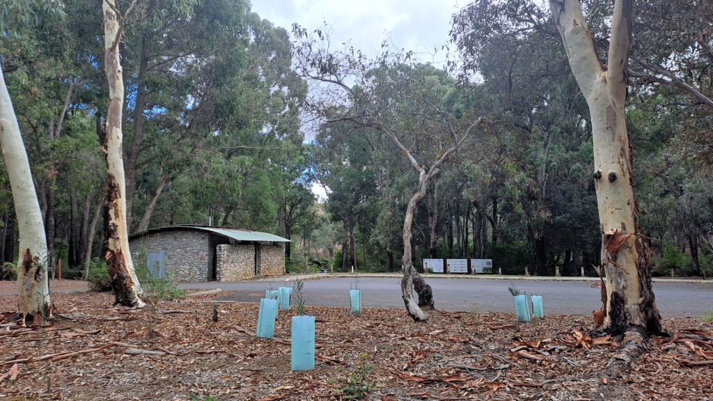 Harris-Dam_Parking-Area_MSR_2025