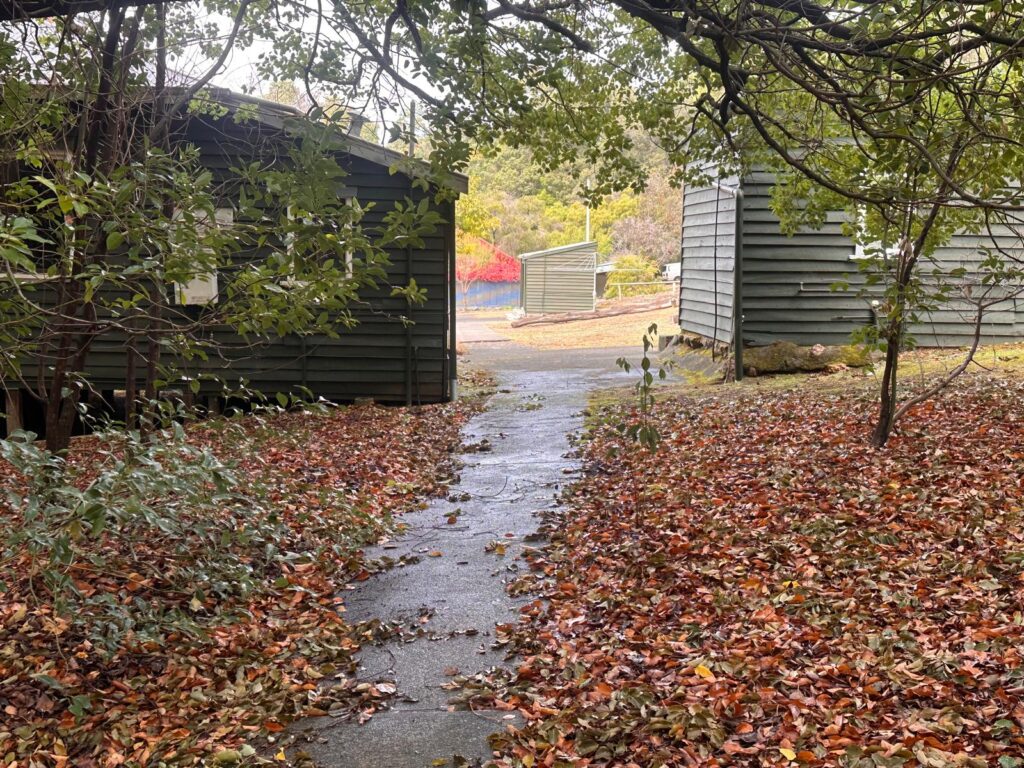 Wellington-Forest-Cottages_Exterior-3