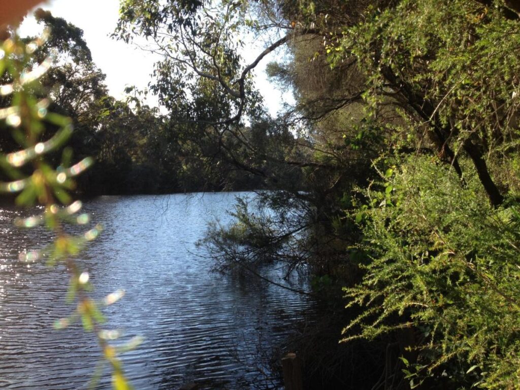 Whispering-Pines-B&B_Accommodation_Collie-River-Access