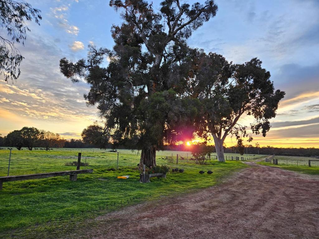 Wilga-Farm-Stay_Exterior_05