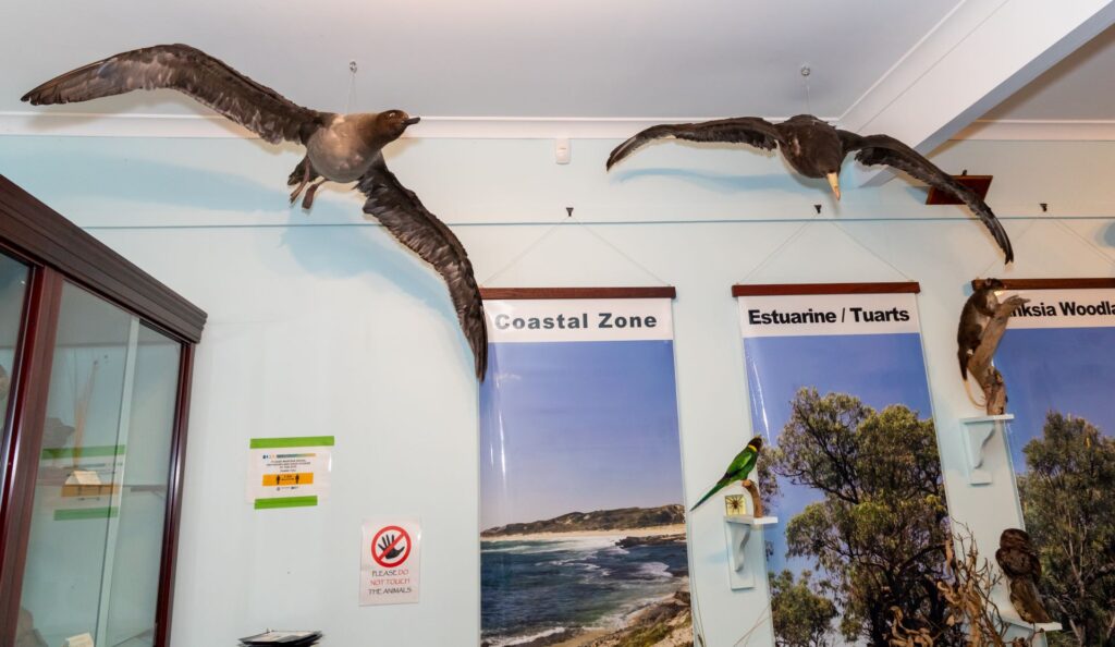 wellington-discovery-forest-centre-wellington-national-park-dbca3