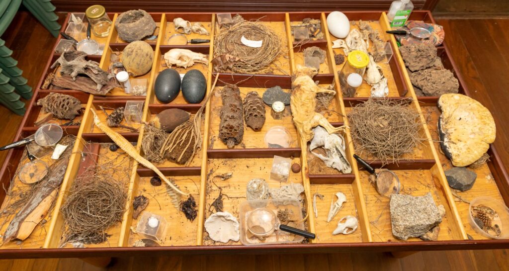 wellington-discovery-forest-centre-wellington-national-park-dbca5