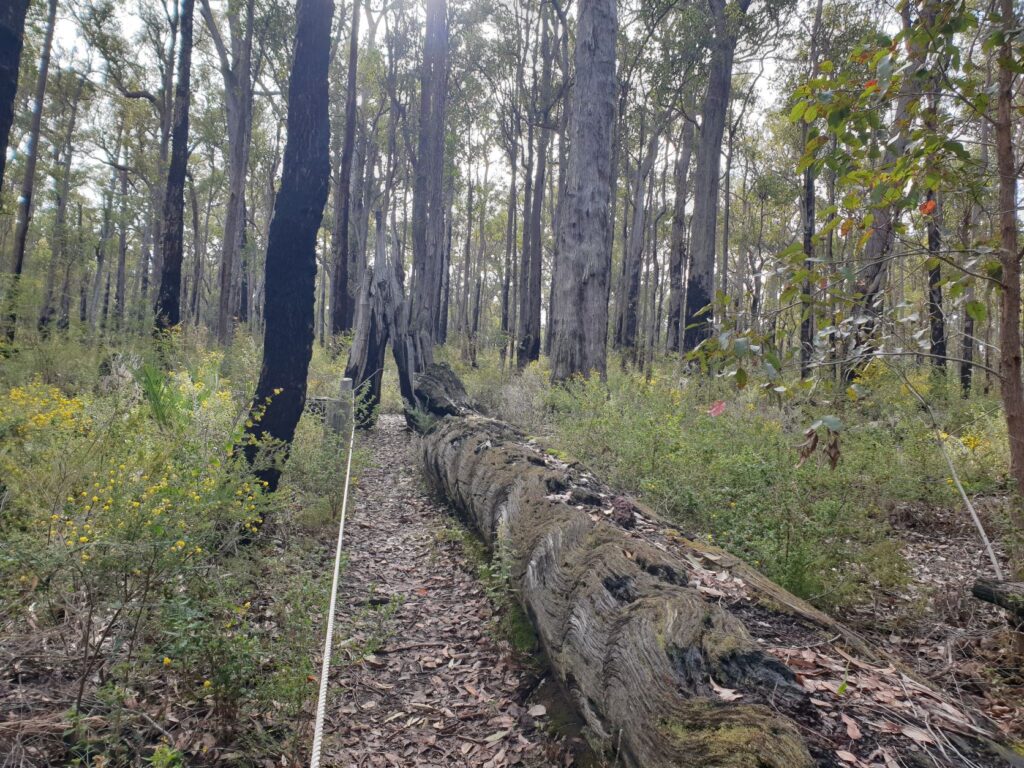 wellington-forest-discovery-centre-wellington-national-park-dbca2